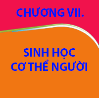 CHƯƠNG VII. SINH HỌC CƠ THỂ NGƯỜI