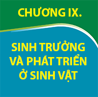 CHƯƠNG IX. SINH TRƯỞNG VÀ PHÁT TRIỂN Ở SINH VẬT