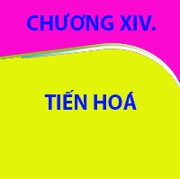 CHƯƠNG XIV. TIẾN HOÁ