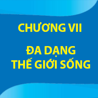 CHƯƠNG VII: ĐA DẠNG THẾ GIỚI SỐNG