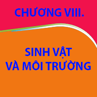 CHƯƠNG VIII. SINH VẬT VÀ MÔI TRƯỜNG
