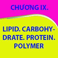 CHƯƠNG IX. LIPID. CARBOHYDRATE. PROTEIN. POLYMER