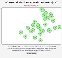 Quá trình lớn lên và phân chia tế bào